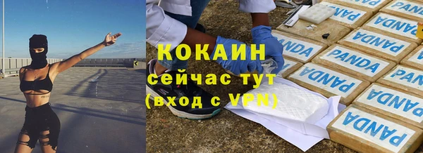 МДПВ Нея