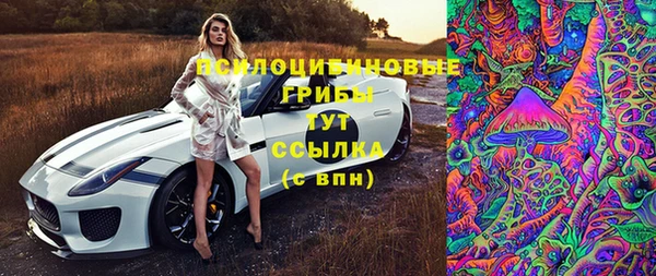 трава Алексин