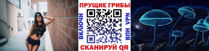 Галлюциногенные грибы Magic Shrooms  Камешково 